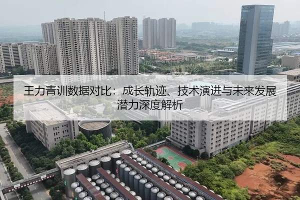 王力青训数据对比：成长轨迹、技术演进与未来发展潜力深度解析