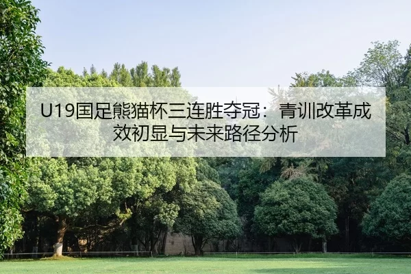 guo-zu-xiong-mao-bei-san-lian-sheng-duo-guan-qing-xun-gai-ge-cheng-xiao-chu-xian-yu-wei-lai-lu-jing-fen-xi-2-856.jpg